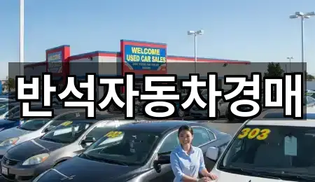 경기도 화성시 팔탄면 중고차 구글지도 5곳