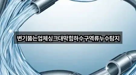 변기뚫는업체싱크대막힘하수구역류누수탐지