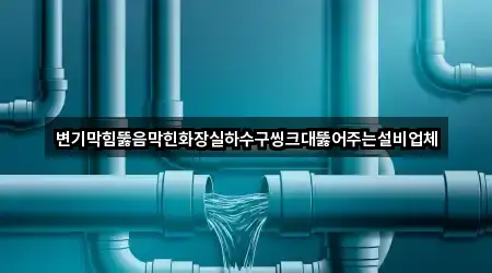 변기막힘뚫음막힌화장실하수구씽크대뚫어주는설비업체