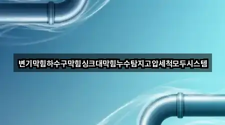 변기막힘하수구막힘싱크대막힘누수탐지고압세척모두시스템