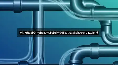 변기막힘하수구막힘싱크대막힘누수해빙고압세척짱뚜러24시배관