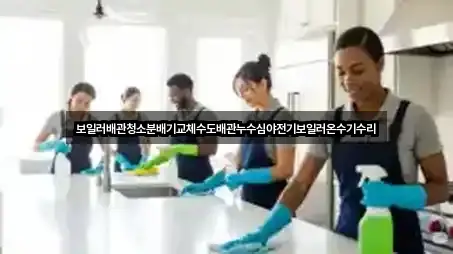 보일러배관청소분배기교체수도배관누수심야전기보일러온수기수리