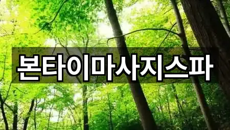 4곳 대전광역시 용호동 마사지 업데이트