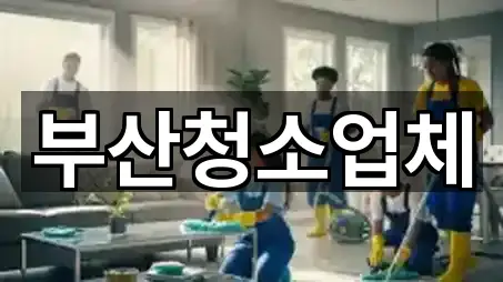 부산청소업체