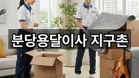 경기도 성남 분당구 용달이사 견적문의 5곳