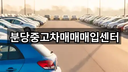 분당중고차매매매입센터