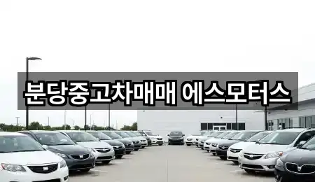 분당중고차매매 에스모터스