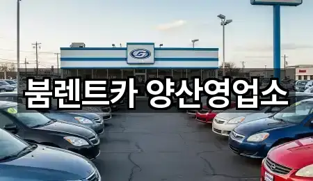 초간편 조회: 경상남도 양산시 다방동 렌트카 5곳