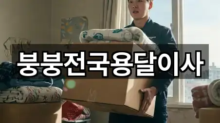 붕붕전국용달이사