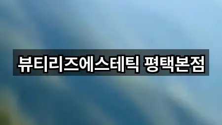 경기 평택시 비전동 에스테틱 5곳 주소 빠른접속