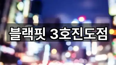 블랙핏 3호진도점