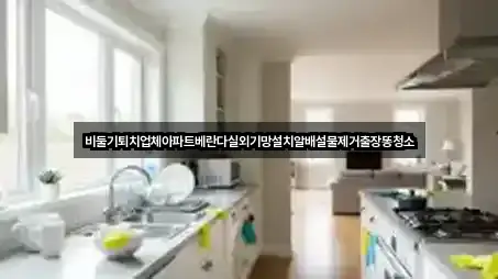 비둘기퇴치업체아파트베란다실외기망설치알배설물제거출장똥청소