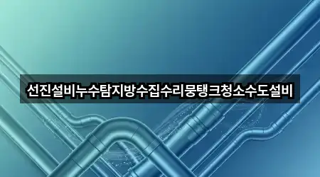 선진설비누수탐지방수집수리뭉탱크청소수도설비