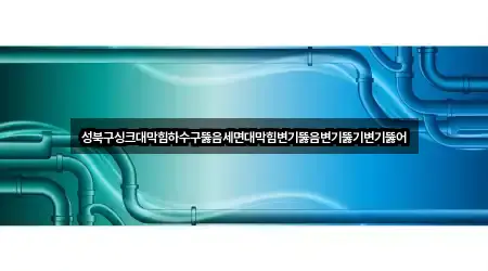 성북구싱크대막힘하수구뚫음세면대막힘변기뚫음변기뚫기변기뚫어