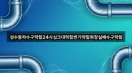 성수동하수구막힘24시싱크대막힘변기막힘화장실배수구막힘