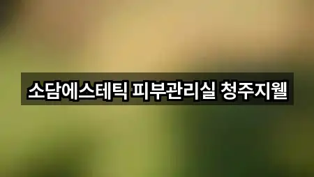 소담에스테틱 피부관리실 청주지웰