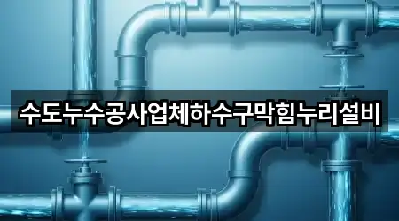 수도누수공사업체하수구막힘누리설비