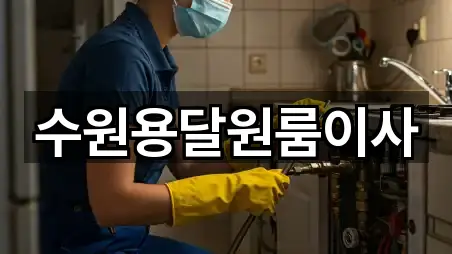 4곳 경기도 수원 장안구 송죽동 원룸이사 업데이트