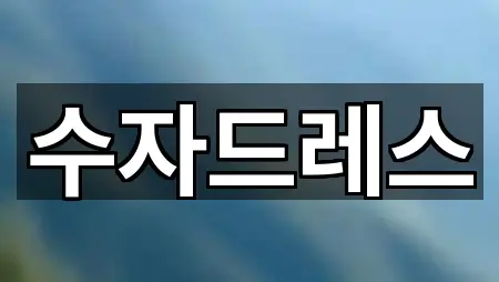 군산시 선양동 웨딩드레스 실시간 상담 2곳
