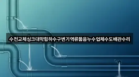 수전교체싱크대막힘하수구변기역류뚫음누수업체수도배관수리