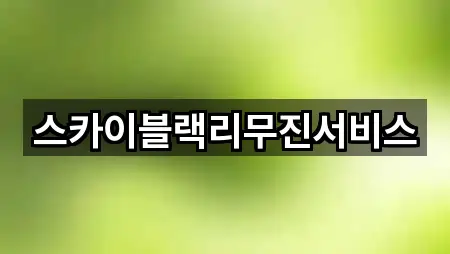 즉시 연결: 서울특별시 성북구 석관동 웨딩카 1곳