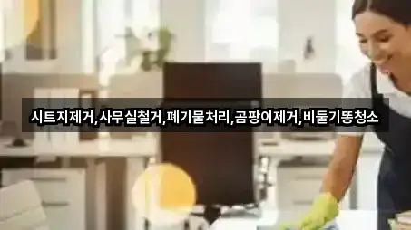 시트지제거,사무실철거,폐기물처리,곰팡이제거,비둘기똥청소