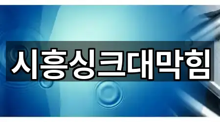 시흥싱크대막힘