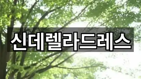 신데렐라드레스