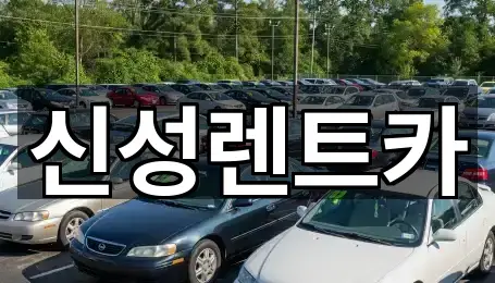 콜 한 번에: 나주시 다도면 장기렌트카 1곳