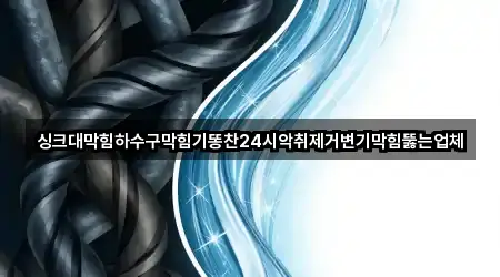 싱크대막힘하수구막힘기똥찬24시악취제거변기막힘뚫는업체