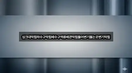 싱크대막힘하수구막힘배수구역류배관막힘뚫어변기뚫는곳변기막힘