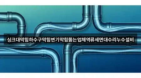 싱크대막힘하수구막힘변기막힘뚫는업체역류세면대수리누수설비