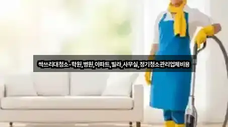싹쓰리대청소-학원,병원,아파트,빌라,사무실,정기청소관리업체비용