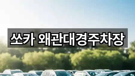 쏘카 왜관대경주차장