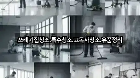 경북 울릉군 울릉읍 청소업체 5곳 도로명 주소