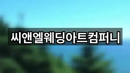 씨앤엘웨딩아트컴퍼니