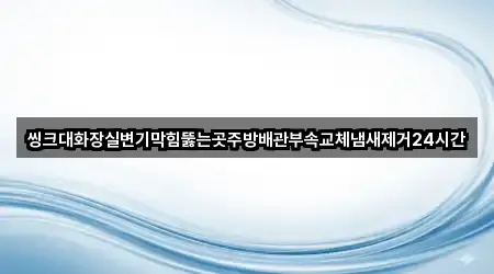 씽크대화장실변기막힘뚫는곳주방배관부속교체냄새제거24시간