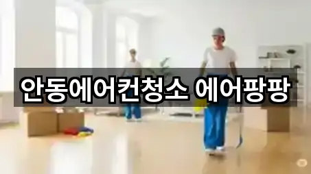 안동에어컨청소 에어팡팡