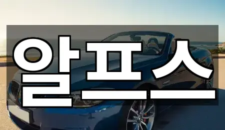 동해면 렌트카 심야 운영 4곳