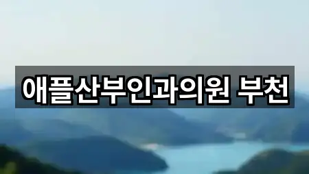 애플산부인과의원 부천