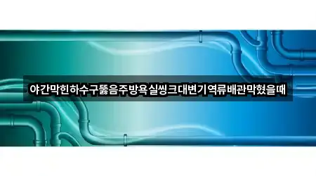 야간막힌하수구뚫음주방욕실씽크대변기역류배관막혔을때