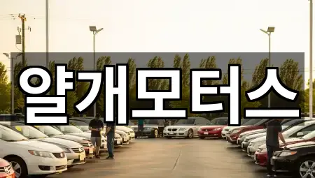 5곳 고양 정발산동중고차 위치·연락처