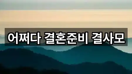 어쩌다 결혼준비 결사모