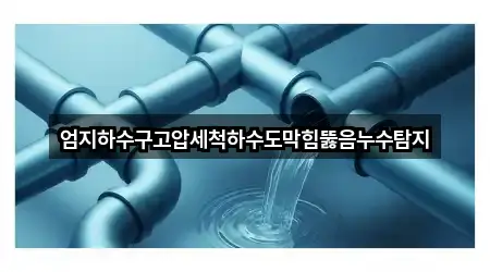 엄지하수구고압세척하수도막힘뚫음누수탐지