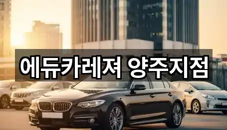 에듀카레져 양주지점