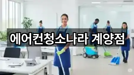 요약 브리프: 인천 계양구 임학동 청소업체 5곳