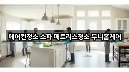 강원특별자치도 강문동 청소 5곳 주변 보기