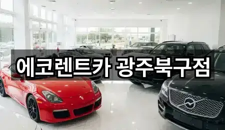 원터치: 담양군 고서면 렌트카 5곳