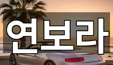 경기도 동두천시 생연동 렌트카 5곳 위치 점검