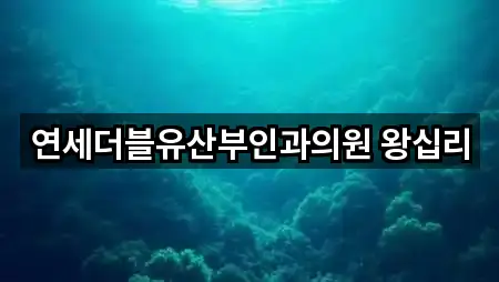 연세더블유산부인과의원 왕십리